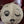 DOLL FACE TOTE