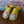 NATHALIE LETE CAT SLIPPER *YELLOW