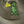 MINILLA CAP *OLIVE GRAY