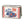 BUG LIFE CARD CASE