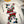 JOKER RINGER TEE * IVORY/YELLOW