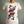 JOKER RINGER TEE * IVORY/YELLOW