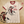 *UNISEX LOVE AT FIRST SHOT RINGER TEE* BURGUNDY/NATURAL