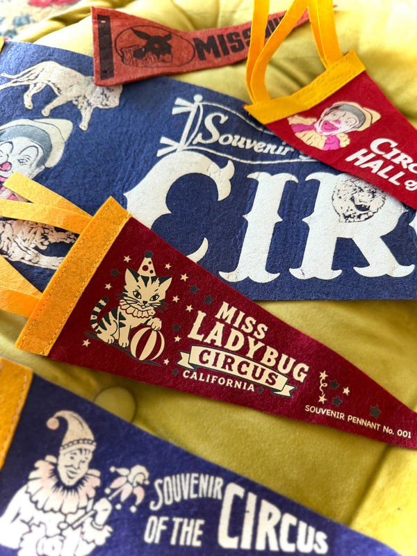 MINI SOUVNIR PENNANT No. 001