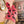 TARANTULA  SOCKS *PINK